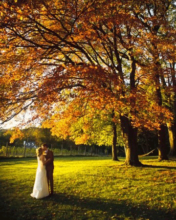 Fall - Koi - Pantone Color - Fall Wedding Theme - Creative Printing of Bay County